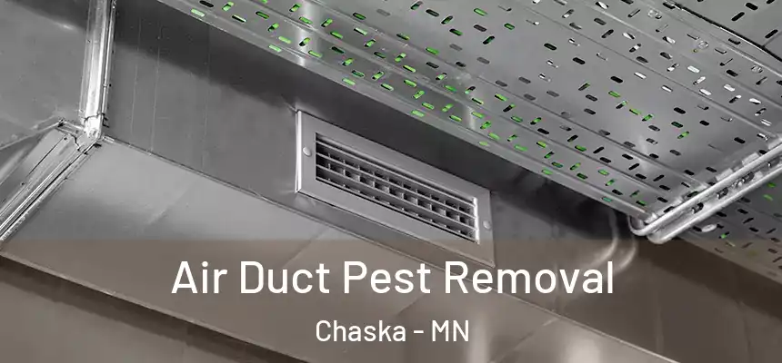 Air Duct Pest Removal Chaska - MN