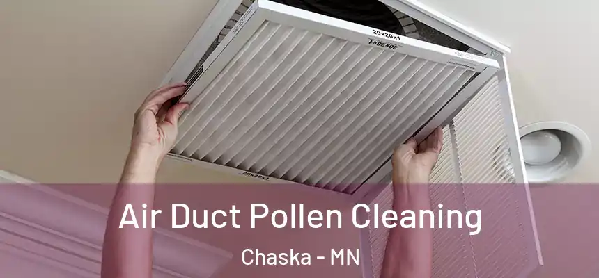 Air Duct Pollen Cleaning Chaska - MN