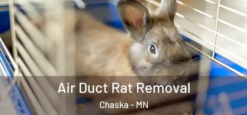  Air Duct Rat Removal Chaska - MN