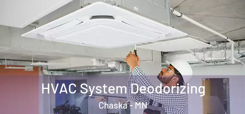 HVAC System Deodorizing Chaska - MN