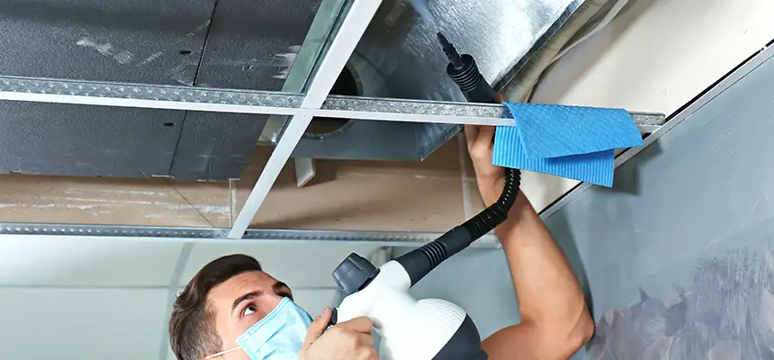 Our Air Duct Rodent Removal Services in Chaska, MN