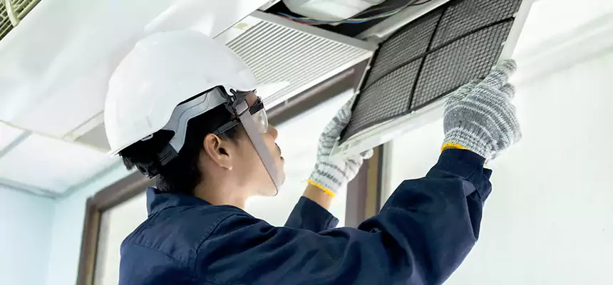 Our Mold & Mildew Removal from Air Ducts Services in Chaska, MN