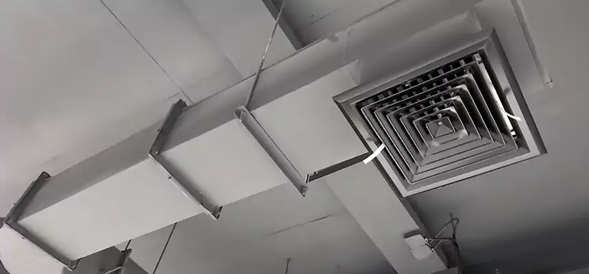 Our Pest Removal From Ducts Services in Chaska, MN