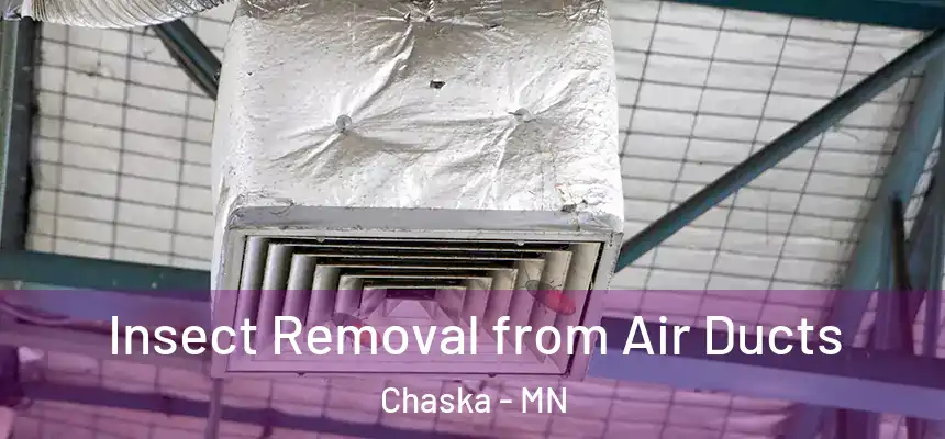  Insect Removal from Air Ducts Chaska - MN