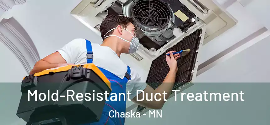  Mold-Resistant Duct Treatment Chaska - MN