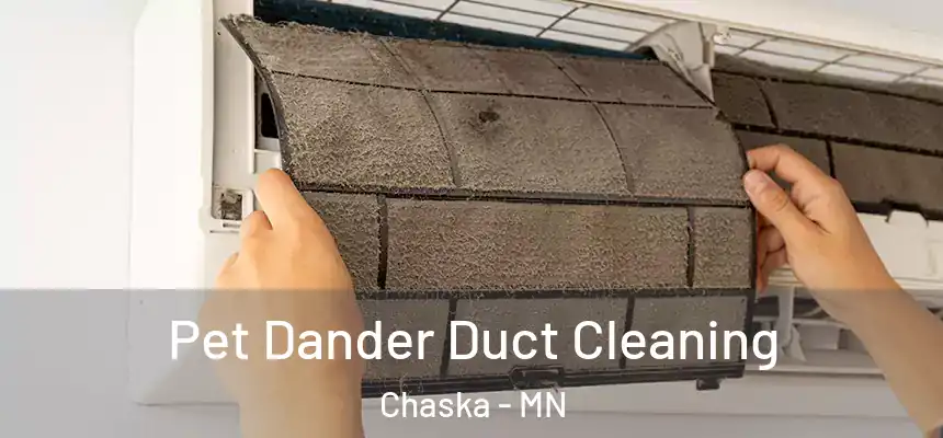 Pet Dander Duct Cleaning Chaska - MN