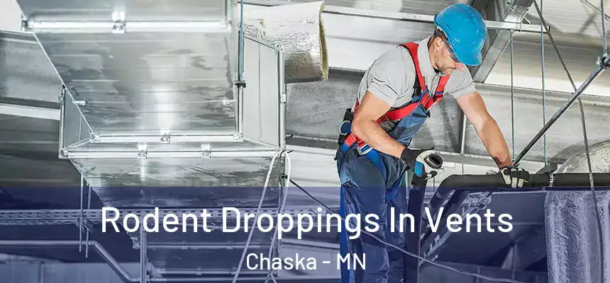 Rodent Droppings In Vents Chaska - MN