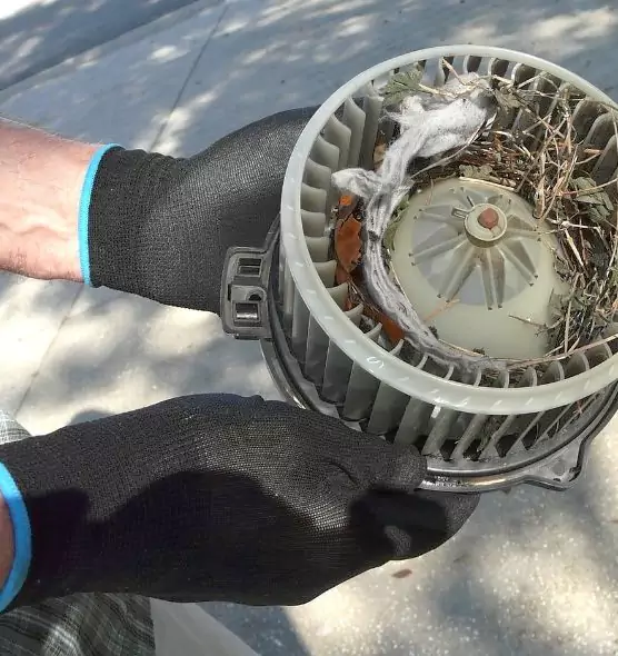 About Air Duct Rat Removal in Chaska, MN