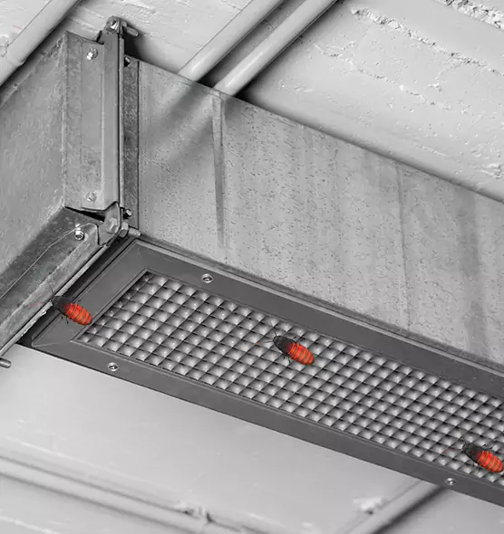 Affordable Insect Removal from Air Ducts in Chaska, MN