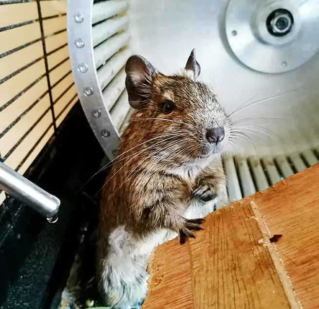 Why Homeowners & Businesses Trust Us Chaska, MN?