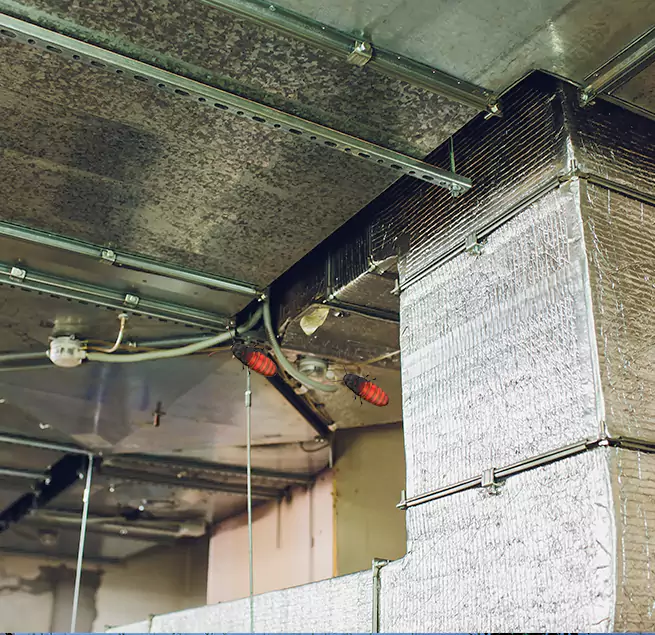 Why Homeowners & Businesses Trust Us Chaska, MN?