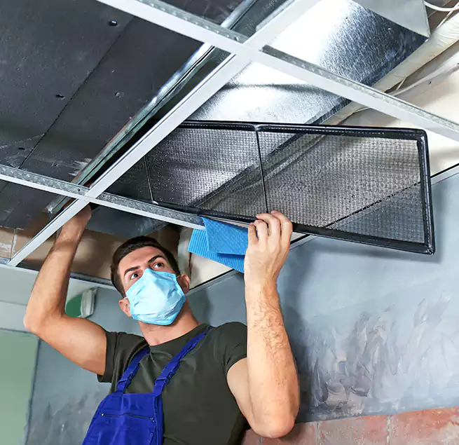 Why Homeowners Businesses Trust Us in Chaska, MN